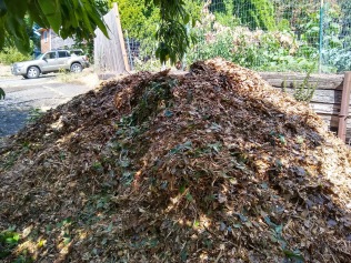 Wood chips from the people who cut our trees away from the power lines.