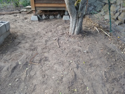 Approximation of how the yard looked before wood chips. Wood chip remains scraped to bare dirt to be put on the garden.